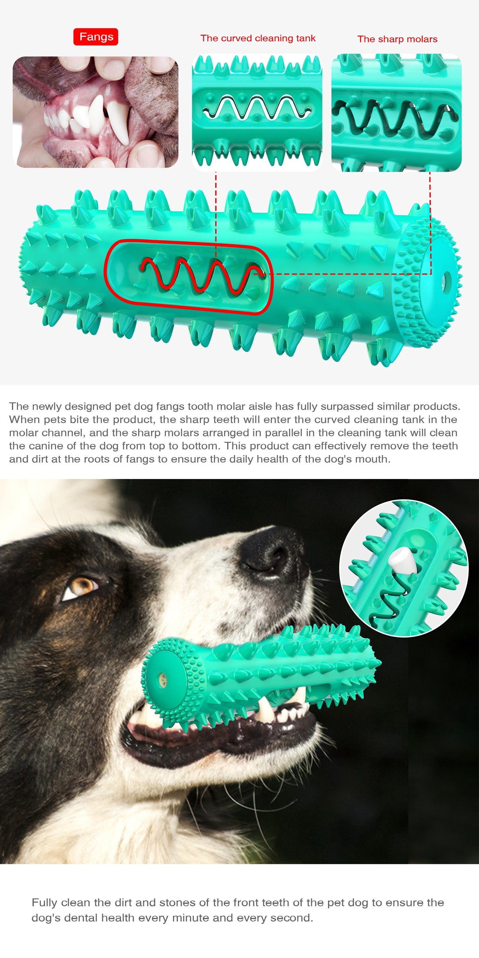 Durable Dog Toothbrush Molar Stick – Teeth Cleaning Chew Toy