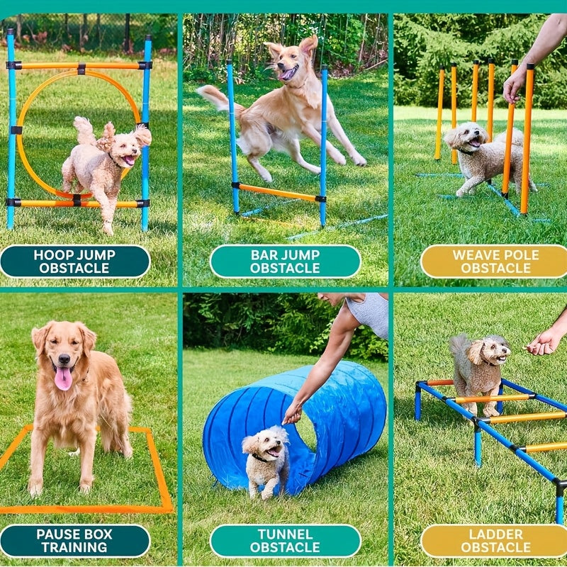 Dog Agility Training Hurdles Jump Starter Kit