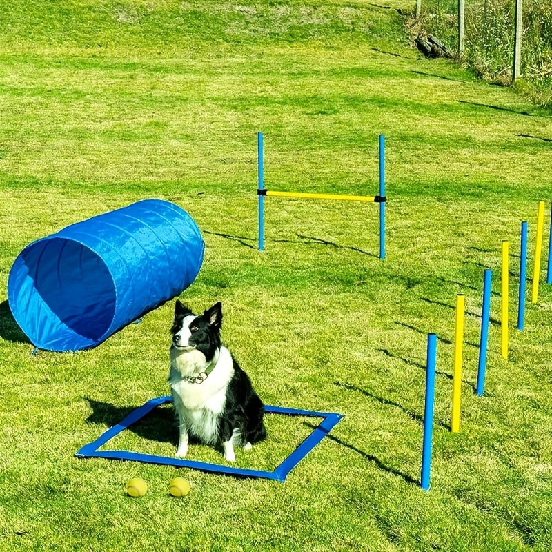 Dog Agility Training Hurdles Jump Starter Kit