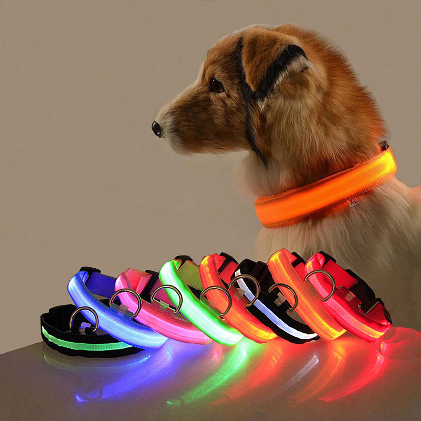Adjustable Luminous Dog Collar – Glow-in-the-Dark Night Safety