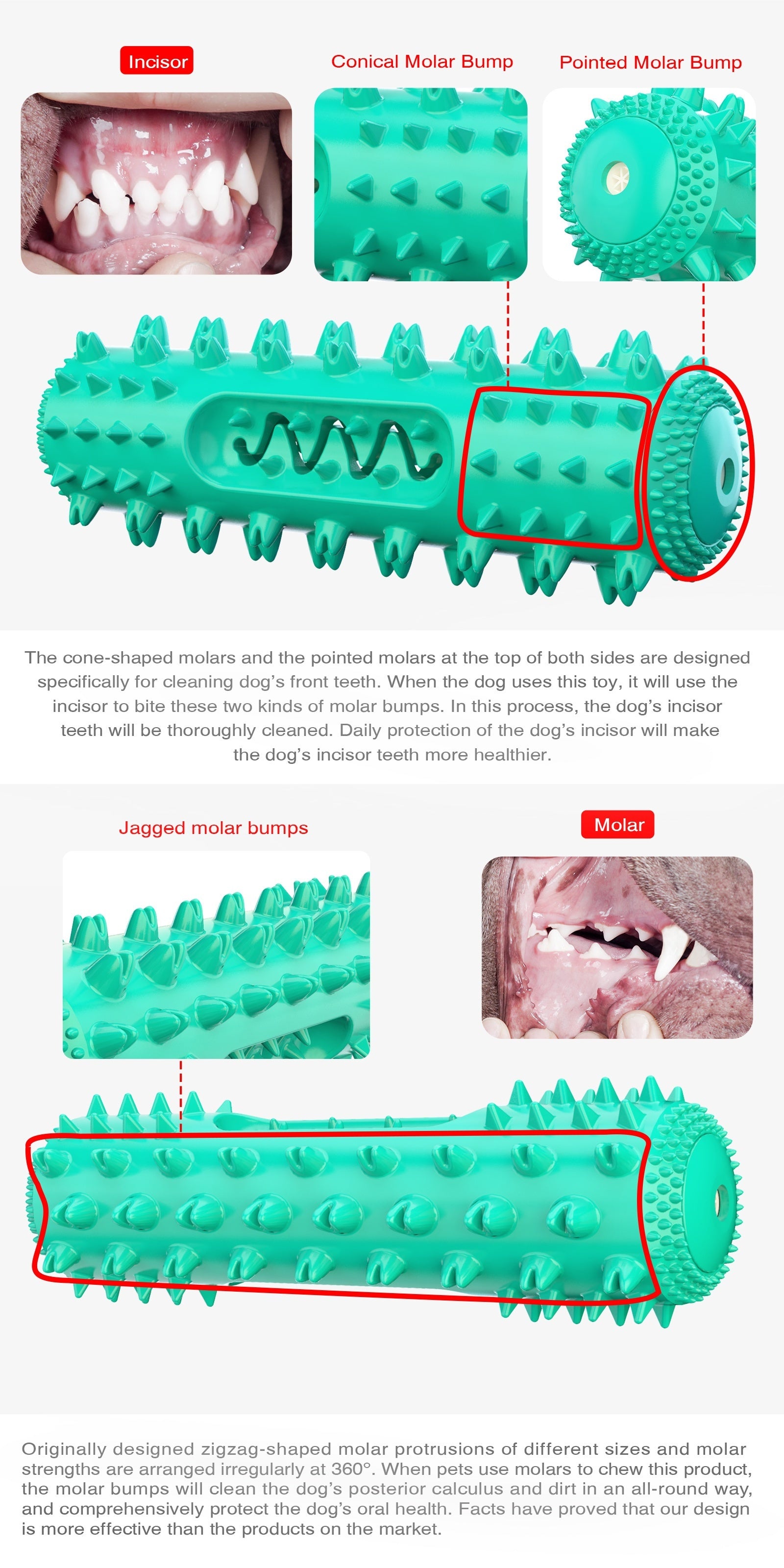 Durable Dog Toothbrush Molar Stick – Teeth Cleaning Chew Toy