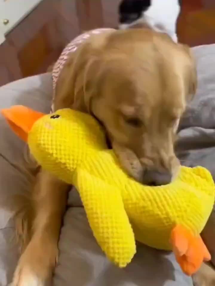 SweetS Large Dog Chew Toy – Heavy-Duty Plush Duck with Squeaker for All Breeds