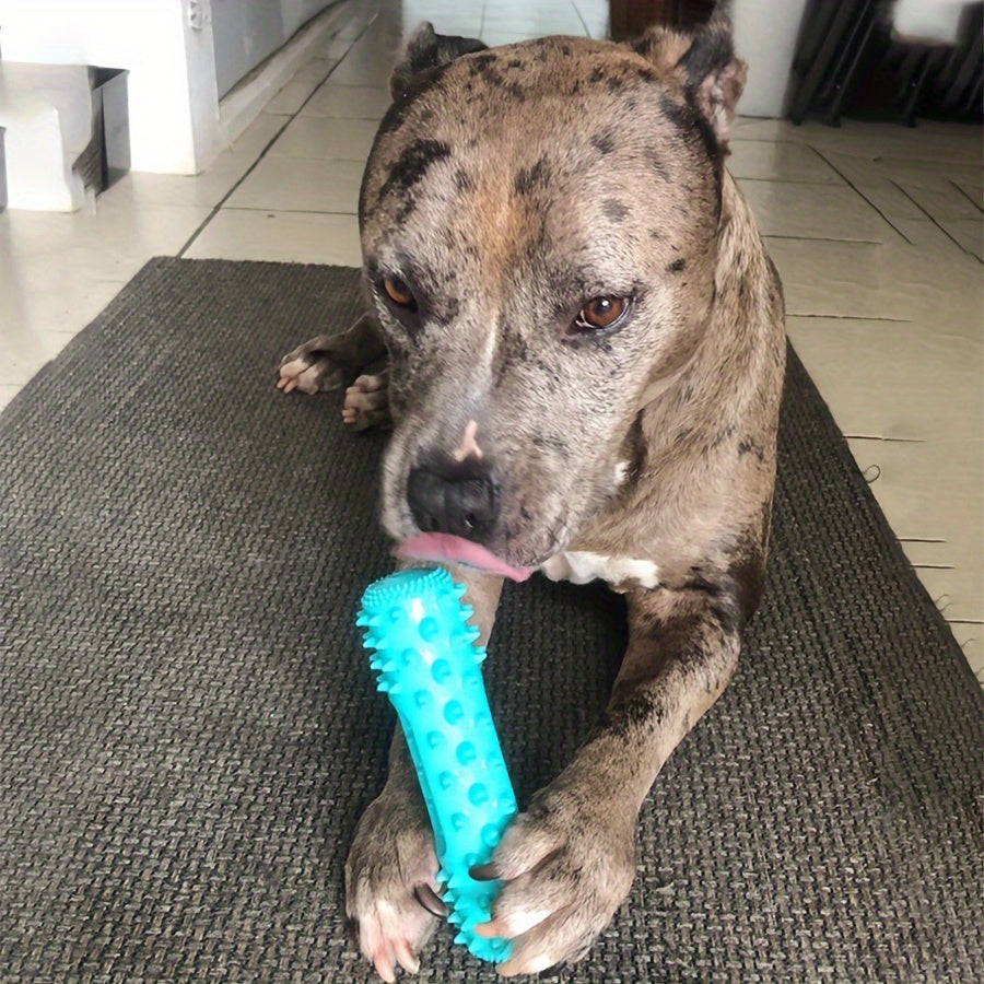 Durable Dog Toothbrush Molar Stick – Teeth Cleaning Chew Toy