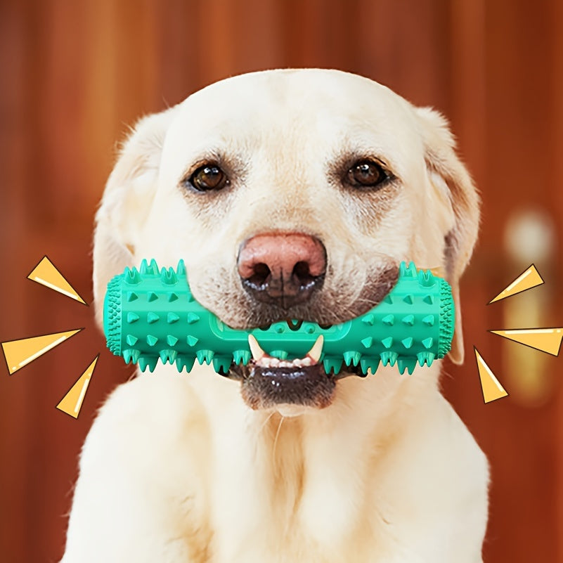 Durable Dog Toothbrush Molar Stick – Teeth Cleaning Chew Toy