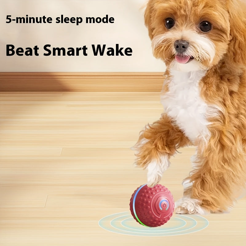 Automatic Bouncing Ball Dog Toy – USB Rechargeable Interactive Play Ball