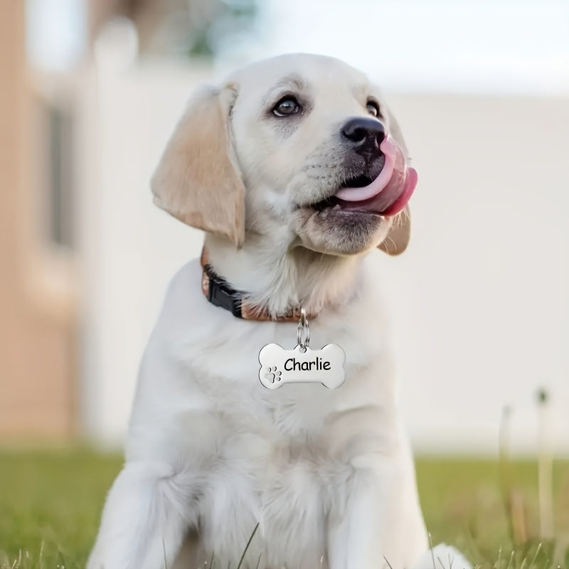 Customized Pet Tag – Golden / Silvery (C3)