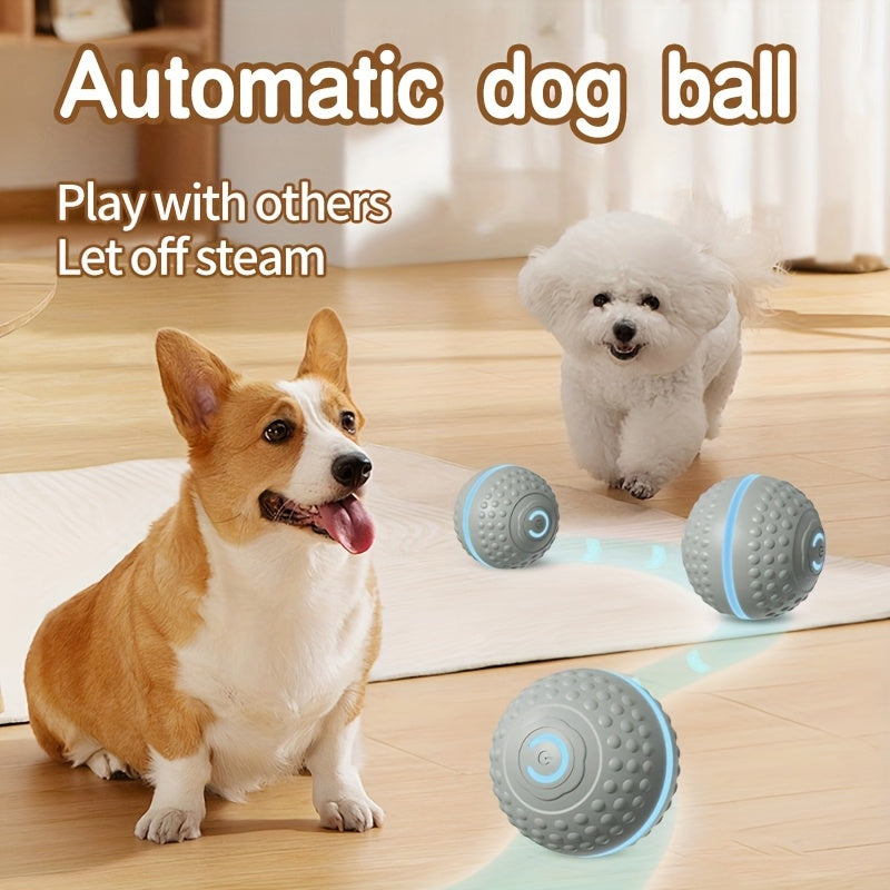 Automatic Bouncing Ball Dog Toy – USB Rechargeable Interactive Play Ball