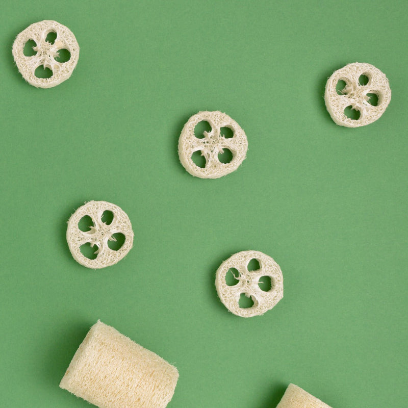 Natural Loofah Sponge Slices - (Pack of 5)