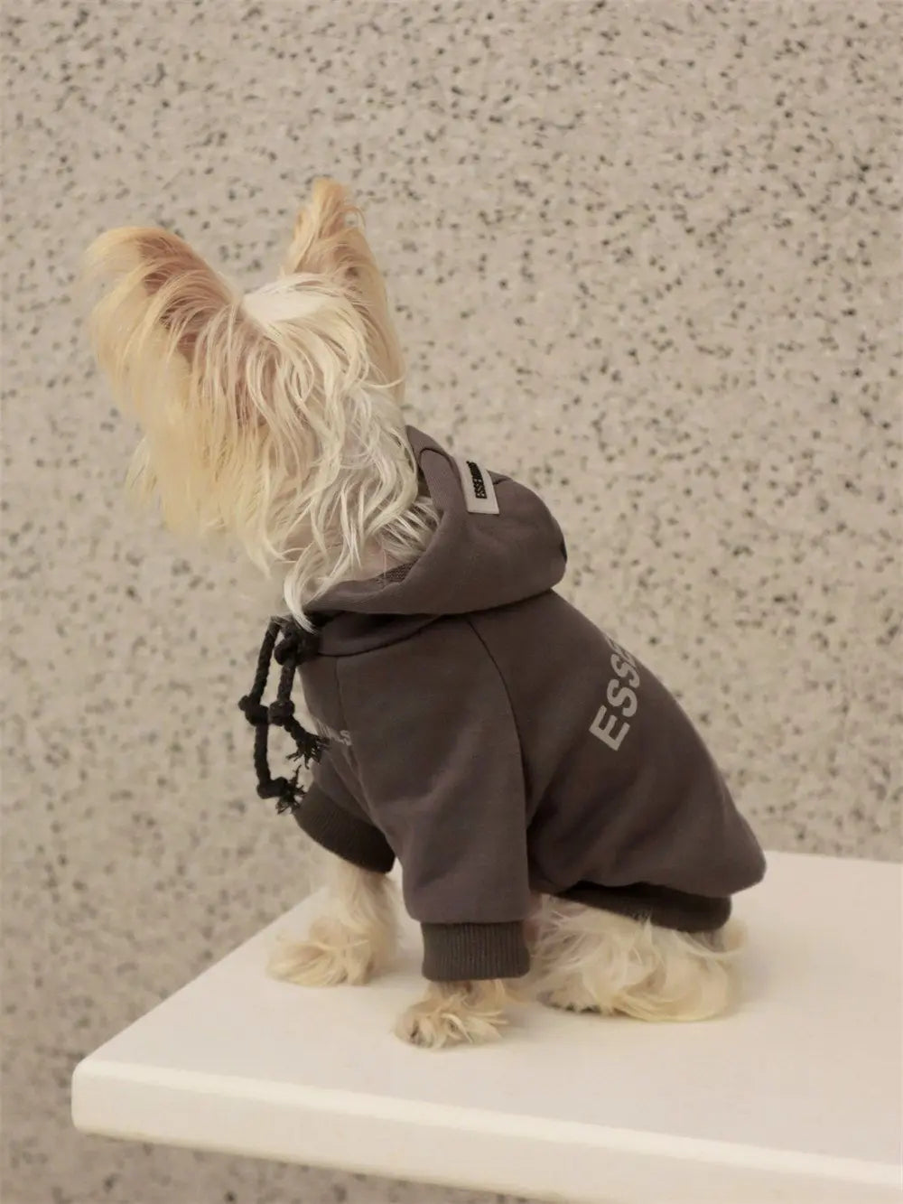 Dog T-Shirt Summer Dog Clothes Casual Clothing for Small Large Dogs Cats Chihuahua Pug Costumes Yorkshire Shirts, dog costume
