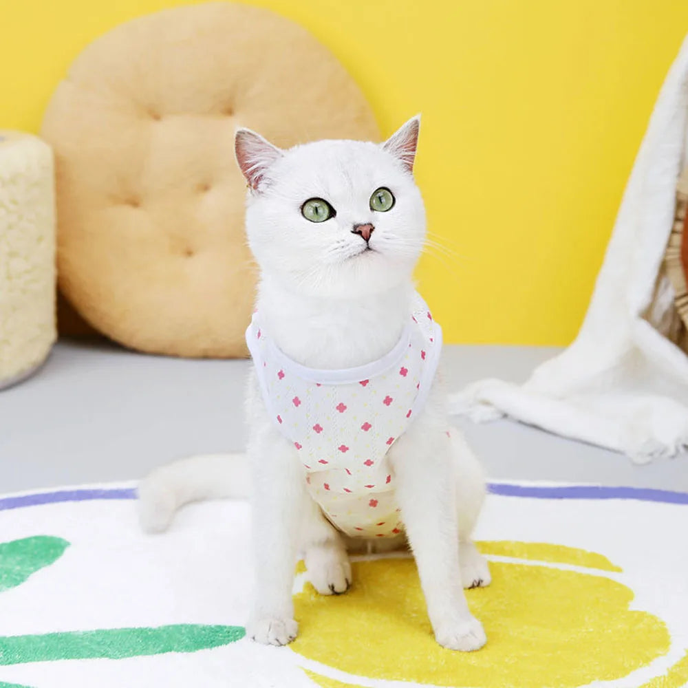 Kitten Onesies Cat Recovery Suit for Abdominal Wounds or Skin Diseases After Surgery Wear E-Collar Alternative for Cats and Dogs