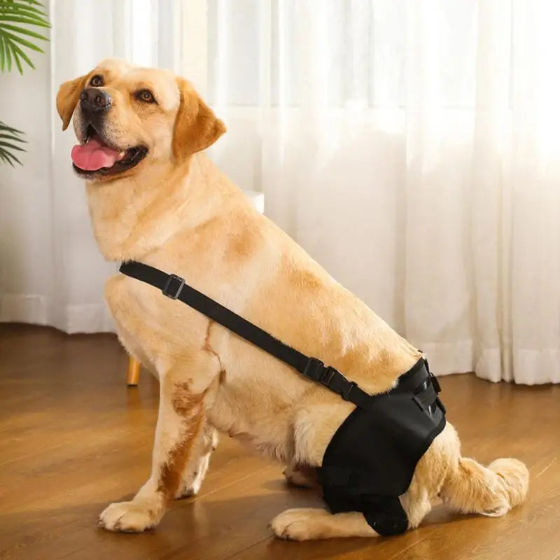 Dog Leg Support Brace Injurie Leg Knee Joint Bandage Wrap Protection Support Rear Knee Pads Straps Dogs Medical Supplies