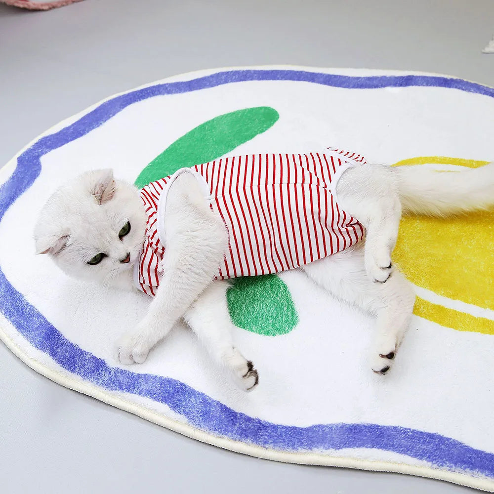 Kitten Onesies Cat Recovery Suit for Abdominal Wounds or Skin Diseases After Surgery Wear E-Collar Alternative for Cats and Dogs