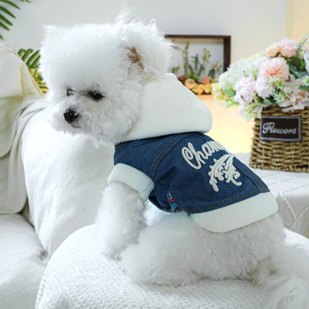 1PC Pet Clothing Spring and Autumn Velvet Handsome Champion Cowboy Hat Coat Suitable for Small and Medium sized Dogs