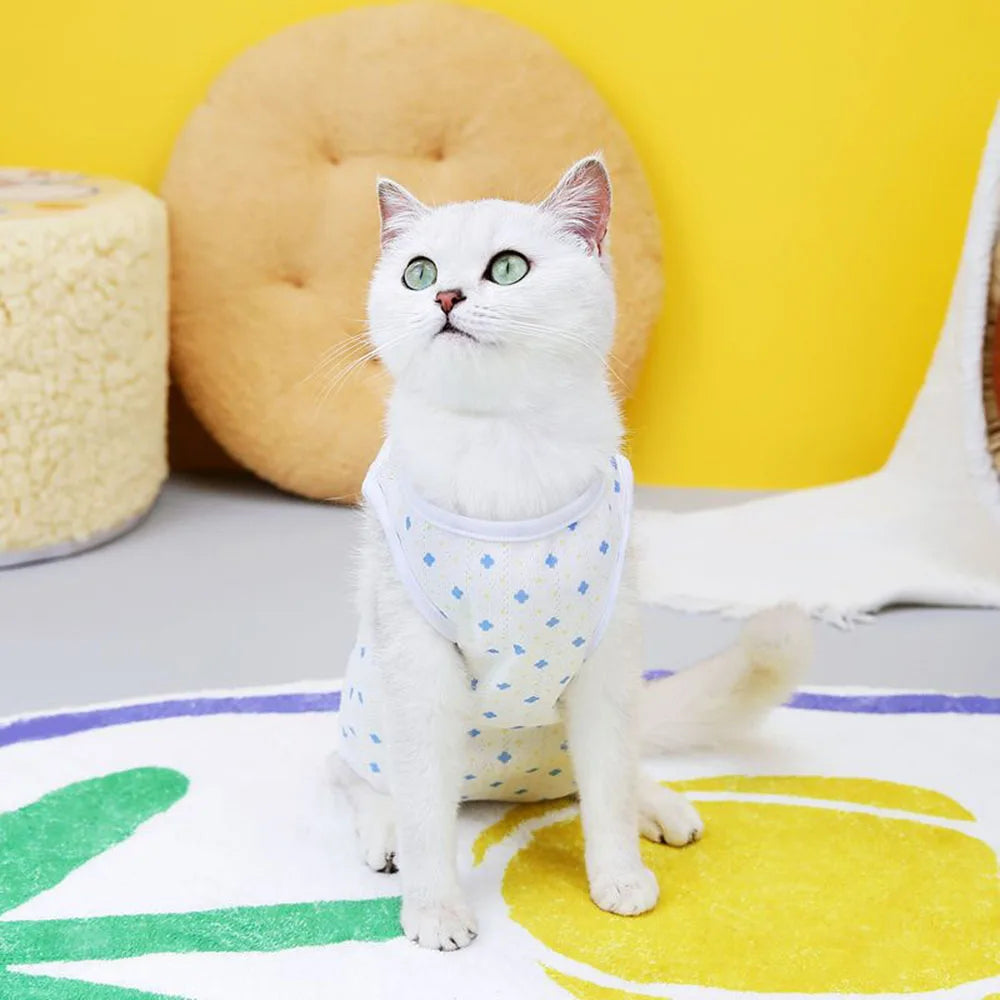 Kitten Onesies Cat Recovery Suit for Abdominal Wounds or Skin Diseases After Surgery Wear E-Collar Alternative for Cats and Dogs