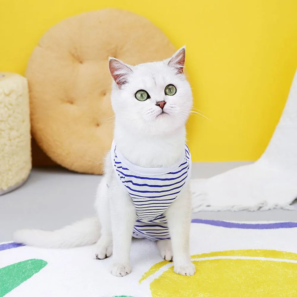 Kitten Onesies Cat Recovery Suit for Abdominal Wounds or Skin Diseases After Surgery Wear E-Collar Alternative for Cats and Dogs
