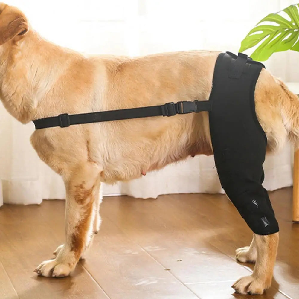 Dog Leg Support Brace Injurie Leg Knee Joint Bandage Wrap Protection Support Rear Knee Pads Straps Dogs Medical Supplies