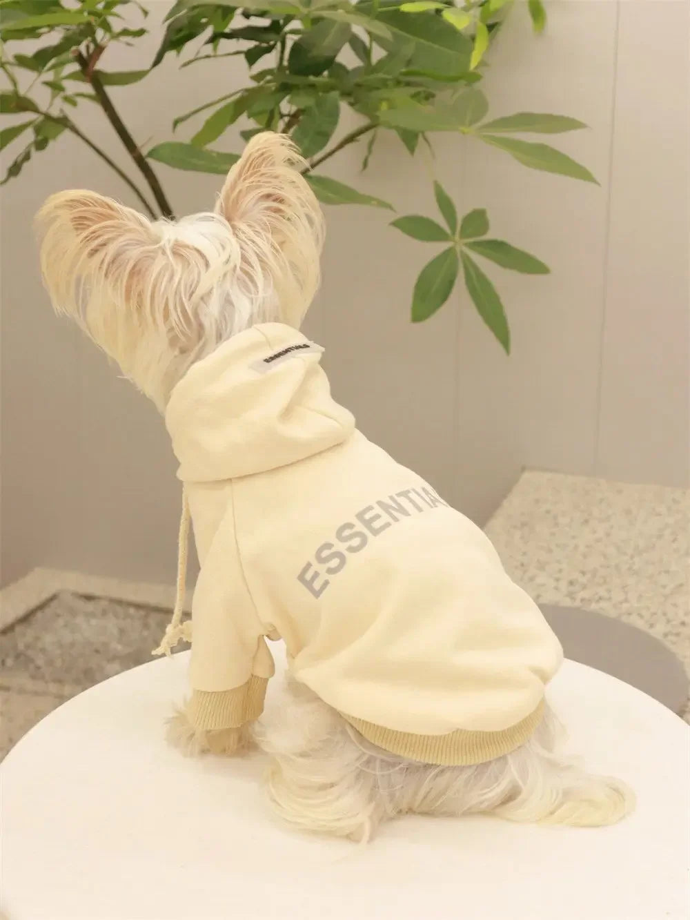 Dog T-Shirt Summer Dog Clothes Casual Clothing for Small Large Dogs Cats Chihuahua Pug Costumes Yorkshire Shirts, dog costume