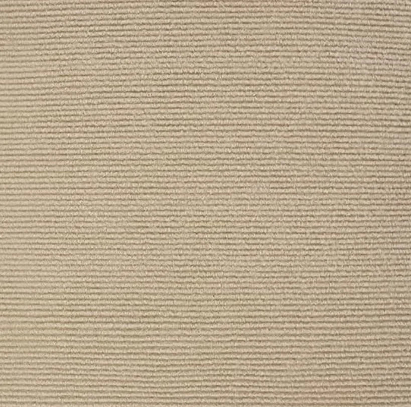 Scratching mat pet carpet with self-adhesive furniture protector