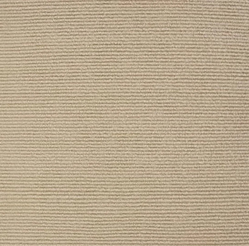 Scratching mat pet carpet with self-adhesive furniture protector