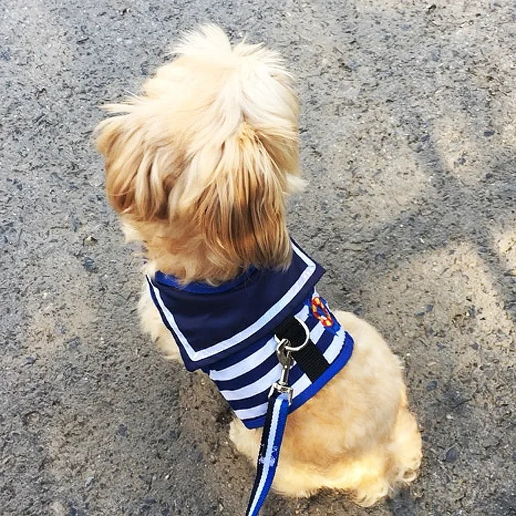 Soft Breathable Navy Style Leash Set for Small and Medium Dogs, Chihuahua Puppy Collar, Chest Strap, Pet Clothes