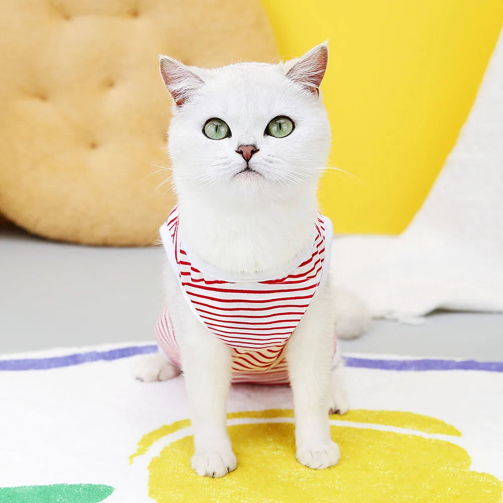 Kitten Onesies Cat Recovery Suit for Abdominal Wounds or Skin Diseases After Surgery Wear E-Collar Alternative for Cats and Dogs