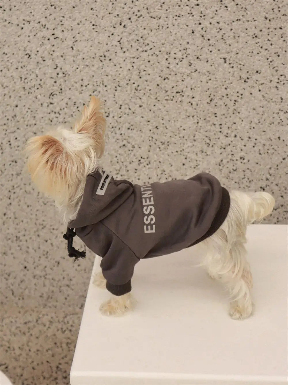 Dog T-Shirt Summer Dog Clothes Casual Clothing for Small Large Dogs Cats Chihuahua Pug Costumes Yorkshire Shirts, dog costume