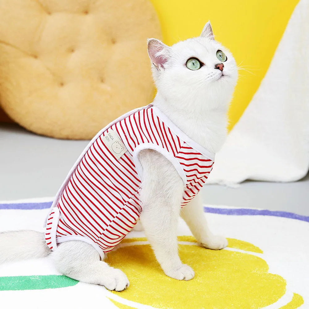 Kitten Onesies Cat Recovery Suit for Abdominal Wounds or Skin Diseases After Surgery Wear E-Collar Alternative for Cats and Dogs