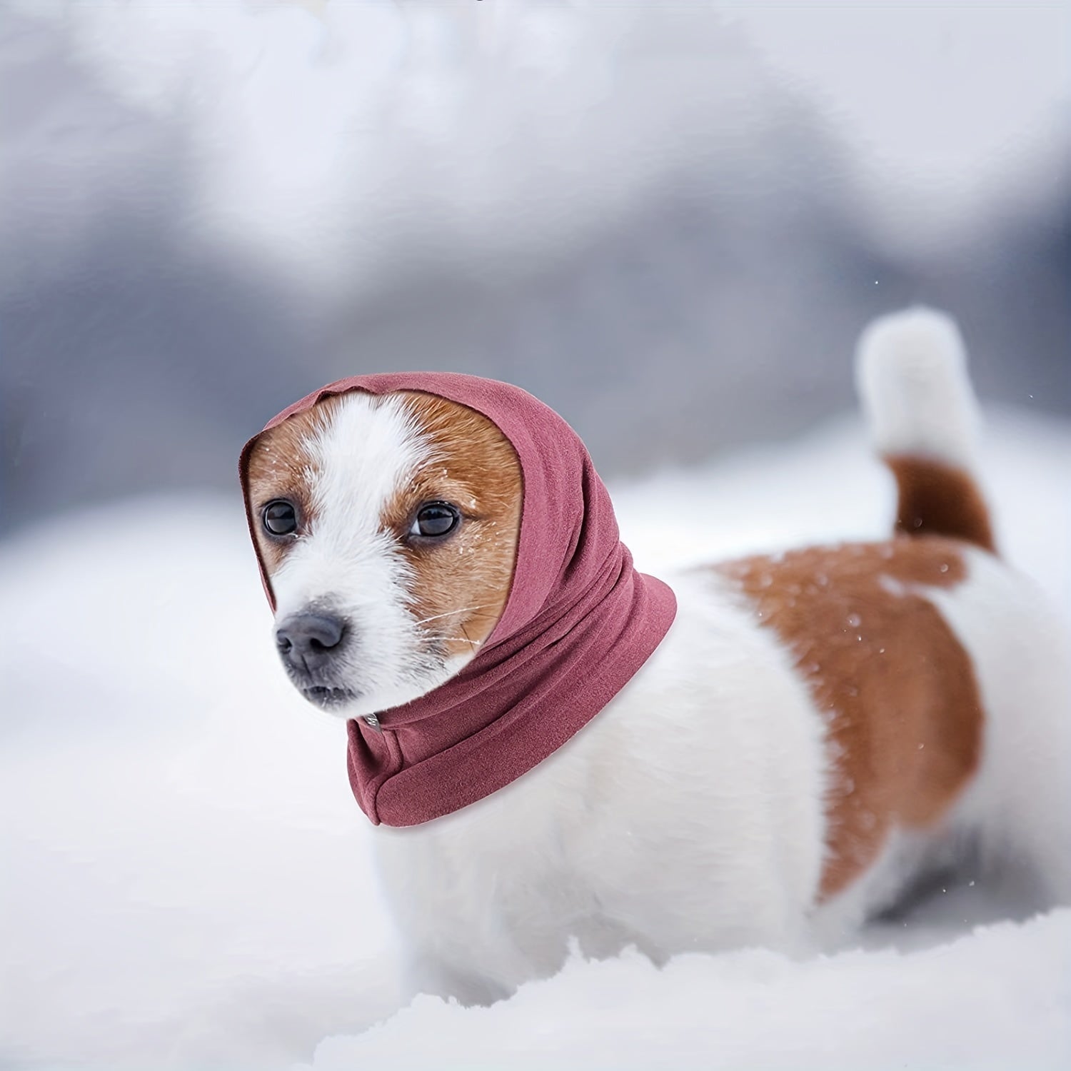 Noise Anxiety Relief Pet Ear Cover for Dogs & Cats
