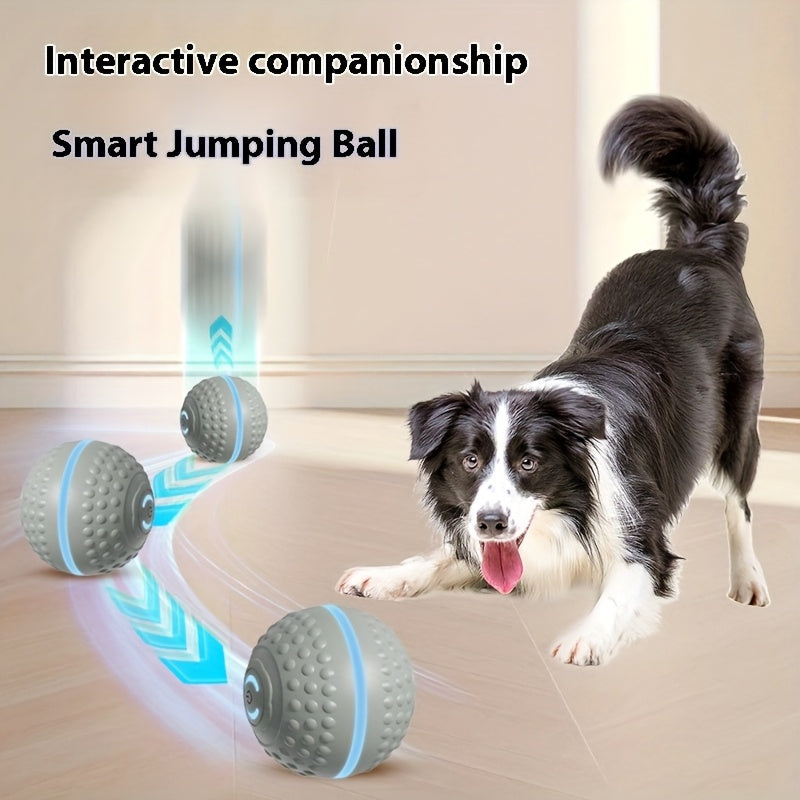 Automatic Bouncing Ball Dog Toy – USB Rechargeable Interactive Play Ball