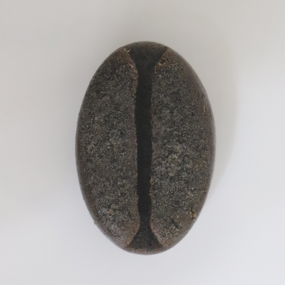 RIMURIMU Handmade Coffee Beans Exclusive Bath Soap