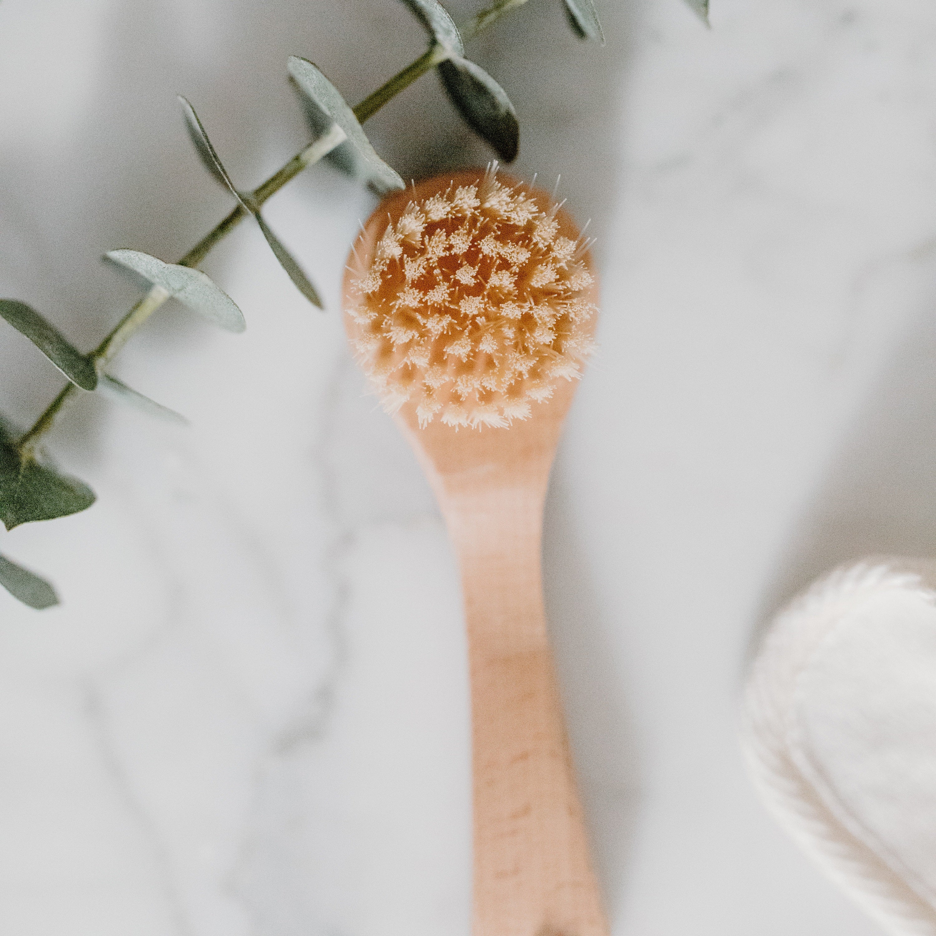 Facial Brush
