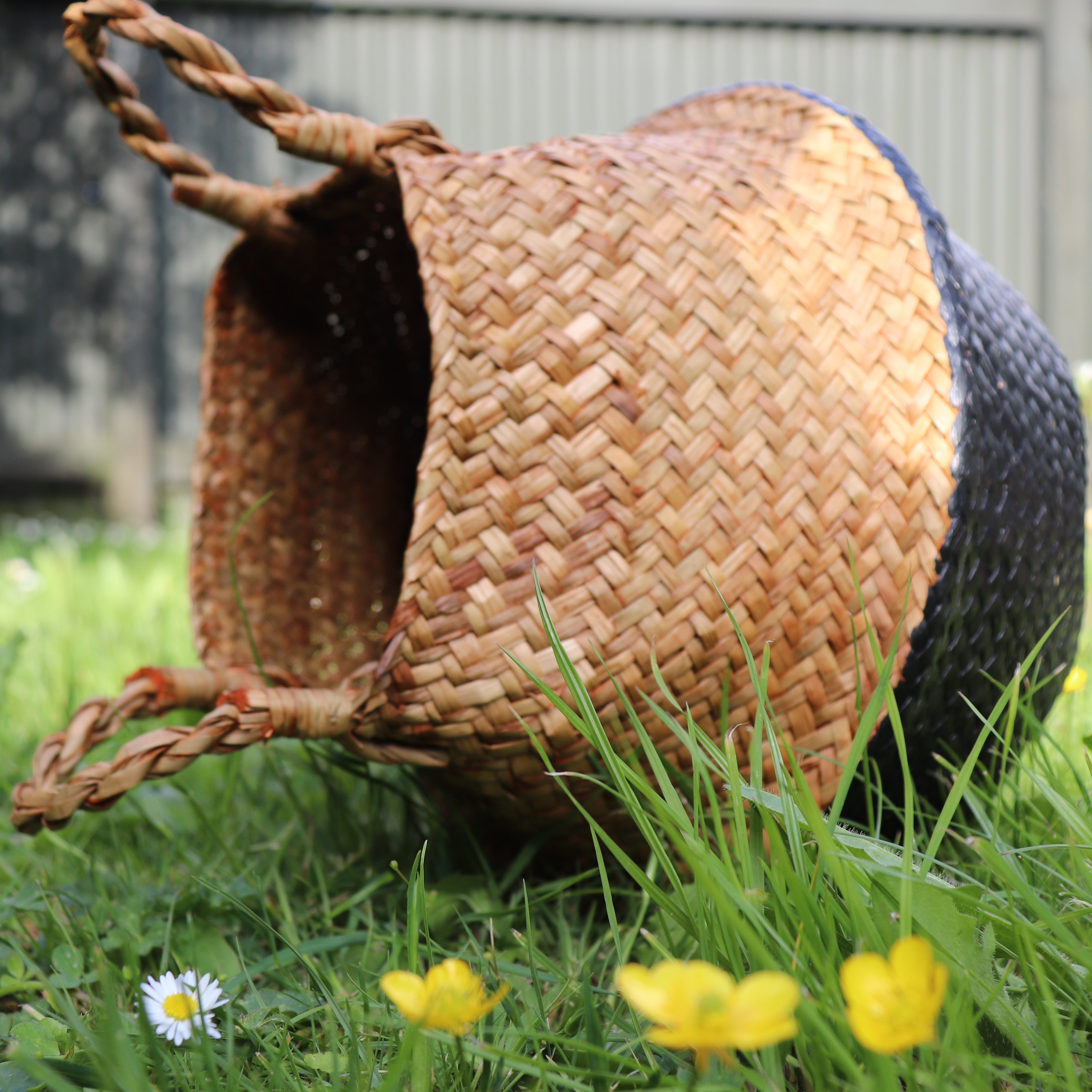 Seagrass Straw Baskets - BLACK