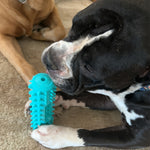 Durable Dog Toothbrush Molar Stick – Teeth Cleaning Chew Toy