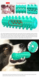 Durable Dog Toothbrush Molar Stick – Teeth Cleaning Chew Toy