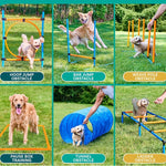 Dog Agility Training Hurdles Jump Starter Kit
