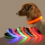 Adjustable Luminous Dog Collar – Glow-in-the-Dark Night Safety