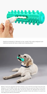Durable Dog Toothbrush Molar Stick – Teeth Cleaning Chew Toy