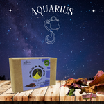 RIMURIMU Natural Patchouli AQUARIUS Horo-Soaps - [OPAQUE & CLEAR]