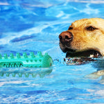 Durable Dog Toothbrush Molar Stick – Teeth Cleaning Chew Toy
