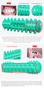 Durable Dog Toothbrush Molar Stick – Teeth Cleaning Chew Toy