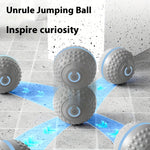 Automatic Bouncing Ball Dog Toy – USB Rechargeable Interactive Play Ball