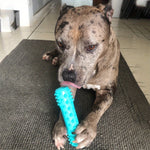 Durable Dog Toothbrush Molar Stick – Teeth Cleaning Chew Toy