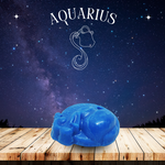 RIMURIMU Natural Patchouli AQUARIUS Horo-Soaps - [OPAQUE & CLEAR]