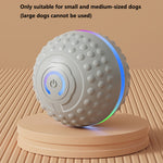 Automatic Bouncing Ball Dog Toy – USB Rechargeable Interactive Play Ball