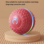 Automatic Bouncing Ball Dog Toy – USB Rechargeable Interactive Play Ball