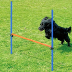 Dog Agility Training Hurdles Jump Starter Kit