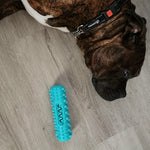 Durable Dog Toothbrush Molar Stick – Teeth Cleaning Chew Toy