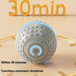 Automatic Bouncing Ball Dog Toy – USB Rechargeable Interactive Play Ball