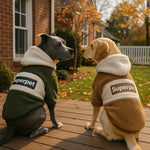 Cozy Dog Sweater Hoodie with Superpet Design, Warm Pullover for Medium to Large Breeds