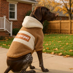 Cozy Dog Sweater Hoodie with Superpet Design, Warm Pullover for Medium to Large Breeds